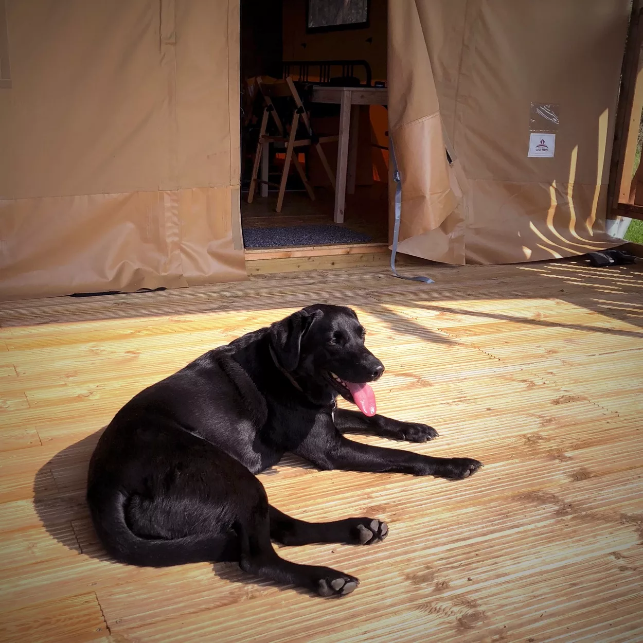 Glamping in Oak Safari Lodge