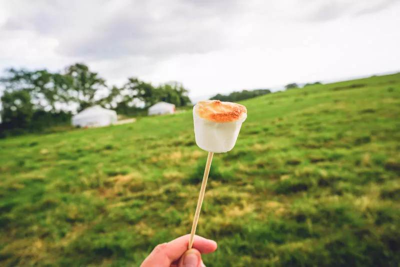 Toasted marshmallows